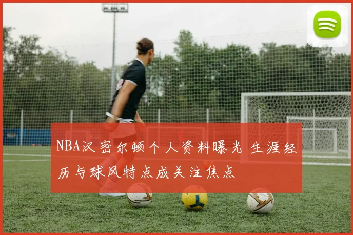 NBA汉密尔顿个人资料曝光 生涯经历与球风特点成关注焦点