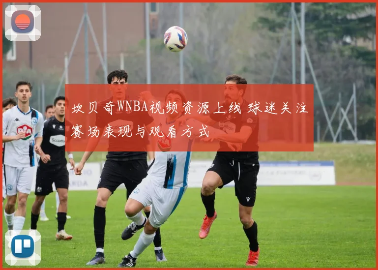 坎贝奇WNBA视频资源上线 球迷关注赛场表现与观看方式